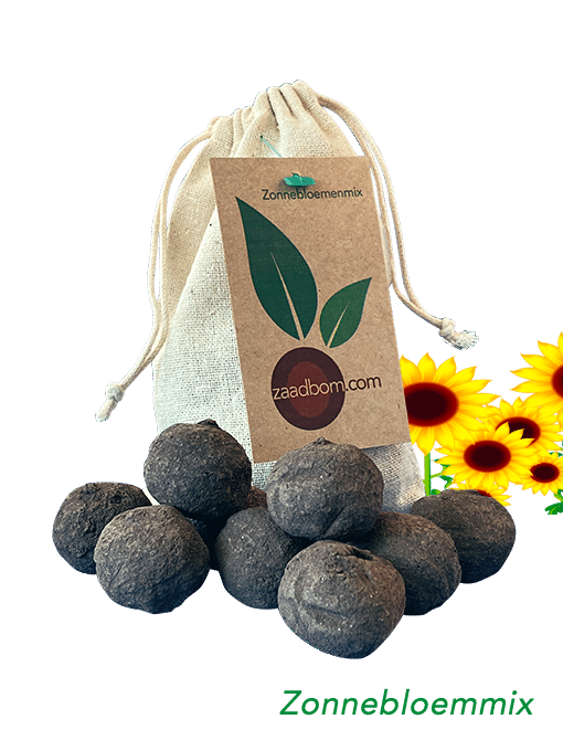 Zonnebloemmix 10 stuks