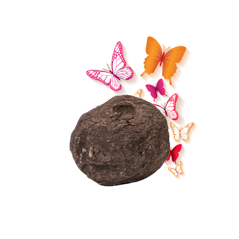 Losse zaadbommen Vlindermix - bulk