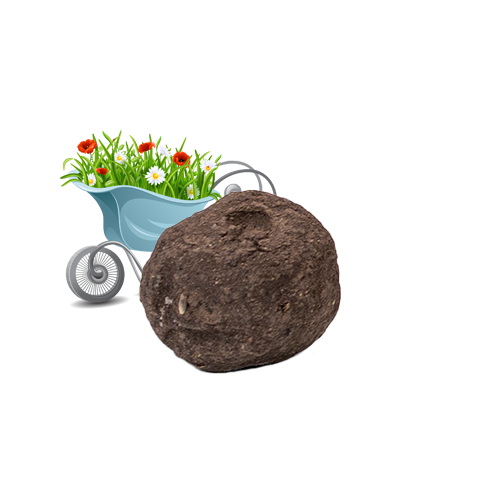 Losse zaadbommen Wildbloemenmix - bulk