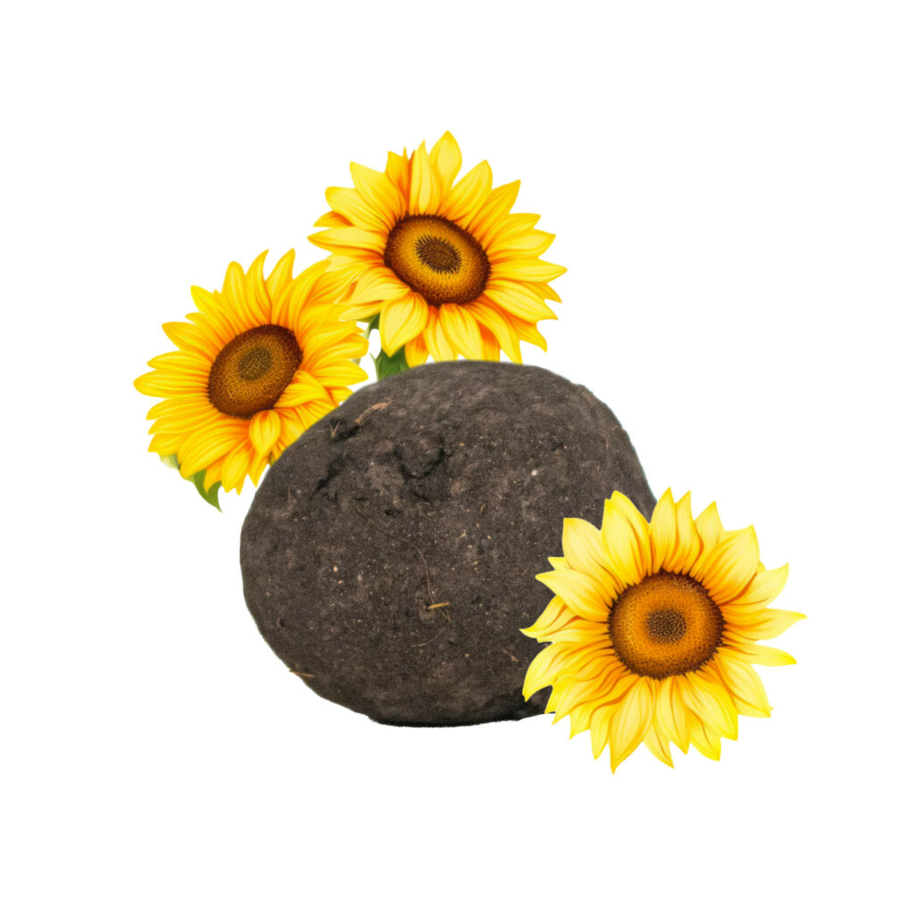 Losse zaadbommen Zonnebloemmix - bulk