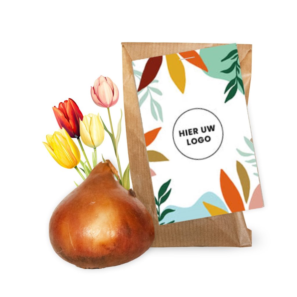1 Tulpenbol Kraft Zakje - Kleurrijk Kaartje