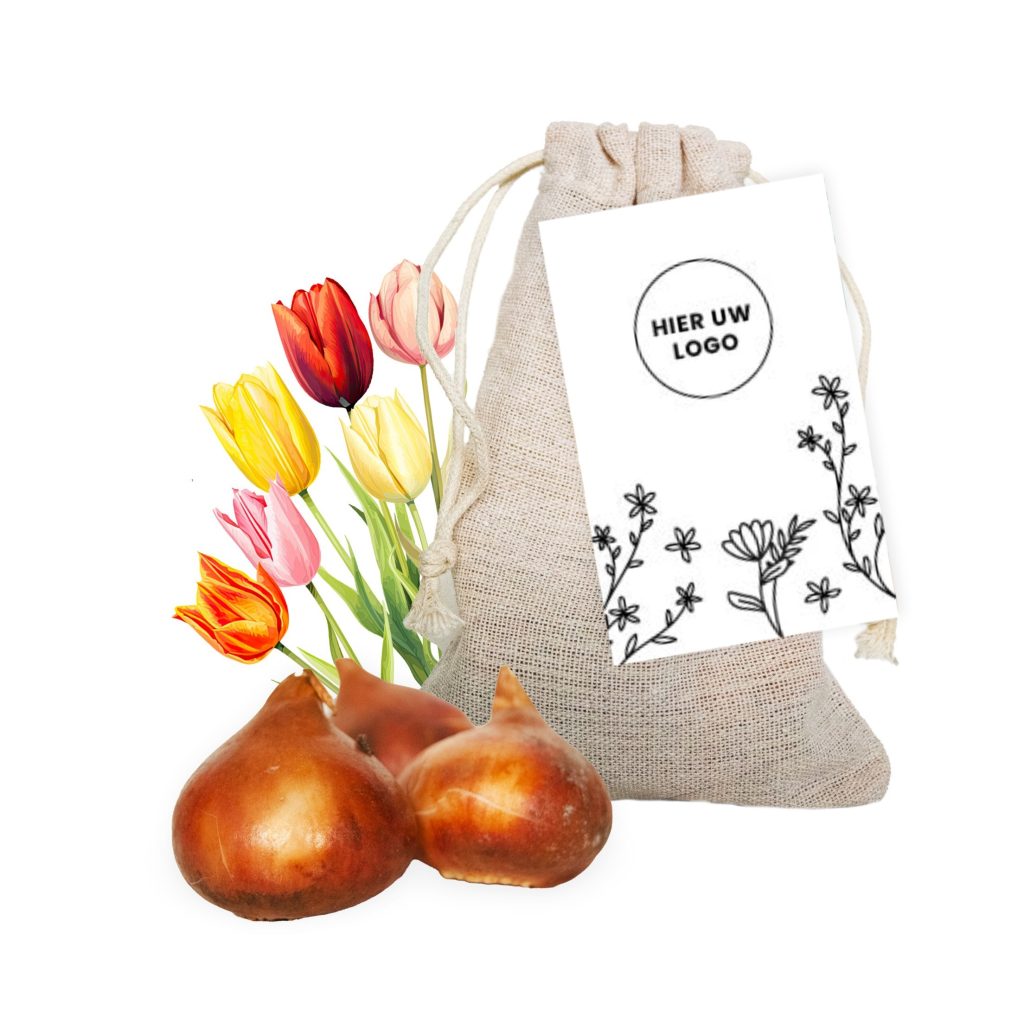 Tulpenbollen in Jutte Zakje - Zwart/Wit Kaartje