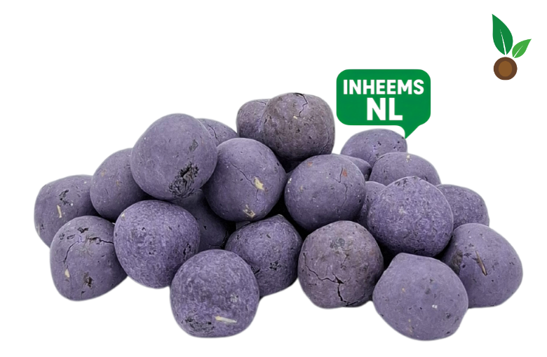 Losse Paarse Zaadbommetjes