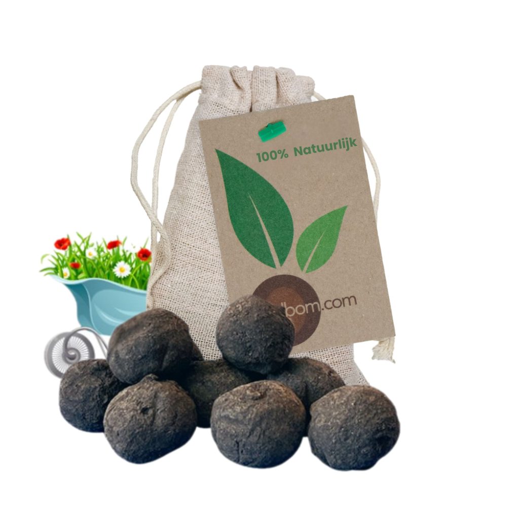 10 Zaadbommen in zakje: 100% Natuurlijk