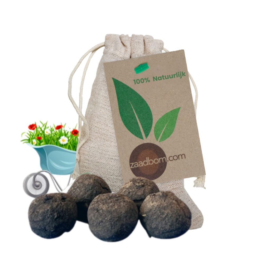 5 Zaadbommen in zakje: 100% Natuurlijk