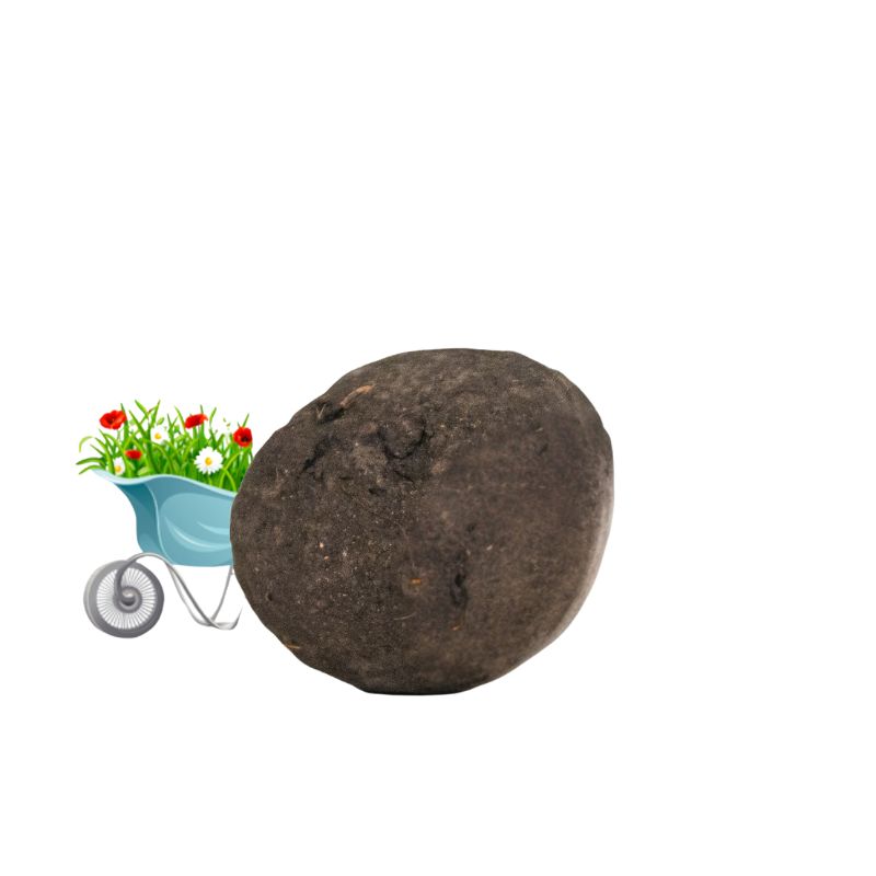 Losse 100% natuurlijke zaadbommen - bulk