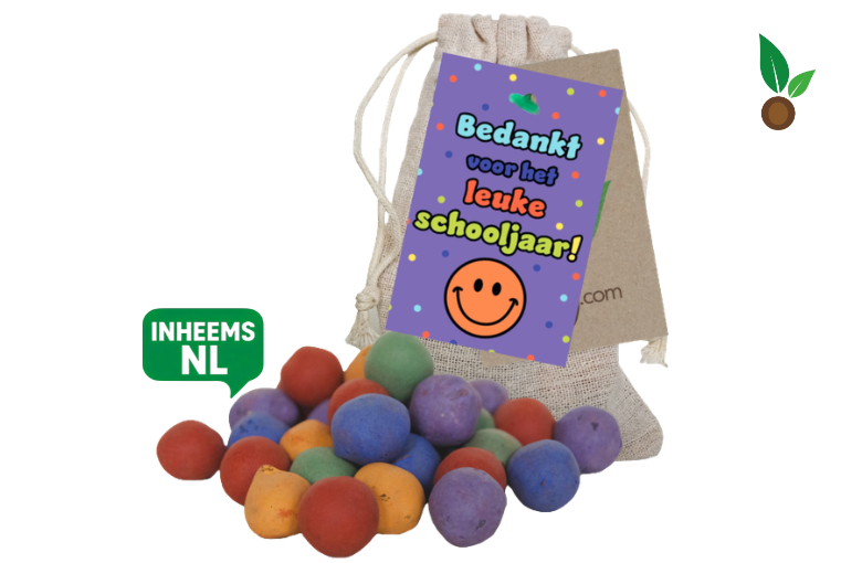 10 Kleurrijke Zaadbommen in Zakje: inclusief Wenskaart 'Bedankt voor het leuke Schooljaar!'