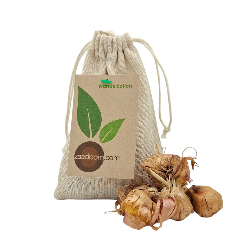 3 Nanusbollen in Jute zakje
